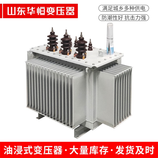 S13-10000/35荆州荆州荆州油浸式变压器厂家